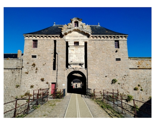 IMG_20250810_100319_edit_2464170021232125