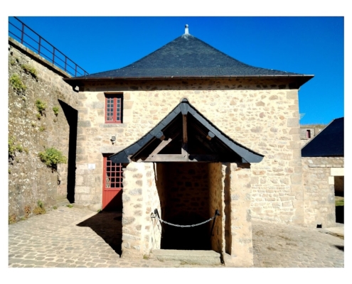 IMG_20250810_102823_edit_2464004393053543