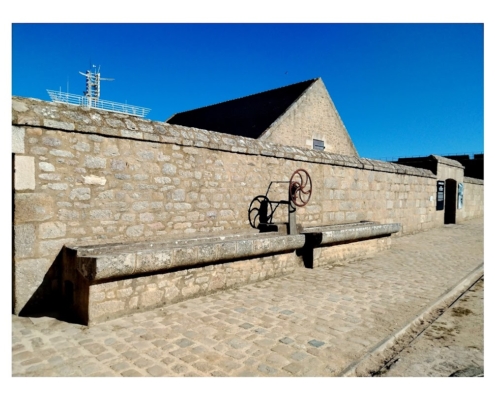 IMG_20250810_103053_edit_2463974221237096