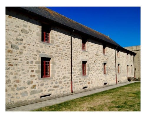 IMG_20250810_103120_edit_2463948466989345