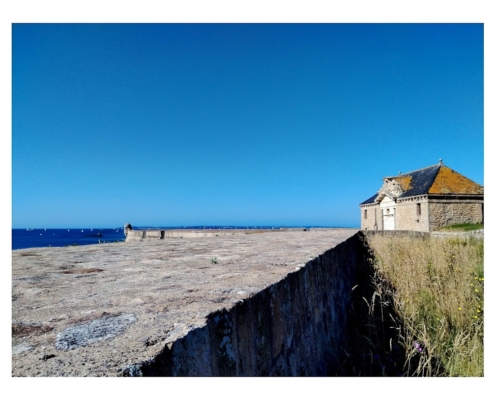 IMG_20250810_105147_edit_2463786547683834