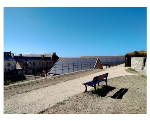 IMG_20250810_110156_edit_2463653268342948