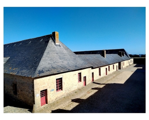 IMG_20250810_111301_1_edit_2463484644574574