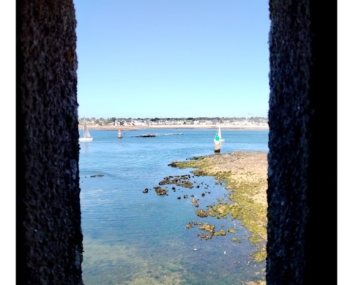 IMG_20250810_111508_edit_2463446296820787