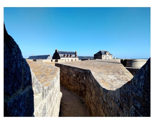 IMG_20250810_111516_edit_2463400286747054