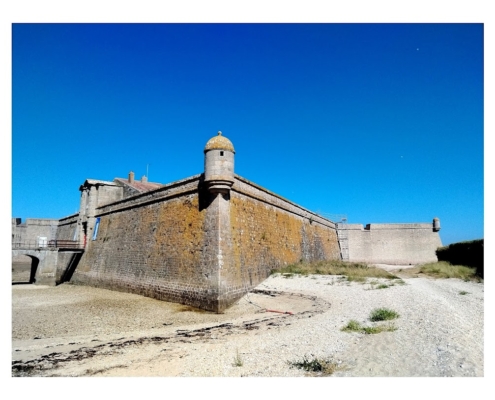 IMG_20250810_113426_1_edit_2463349047842699