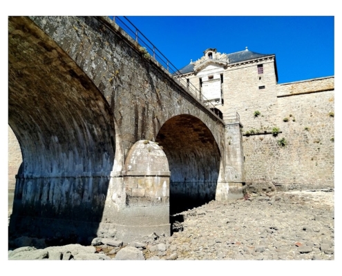 IMG_20250810_113837_edit_2463299650405947