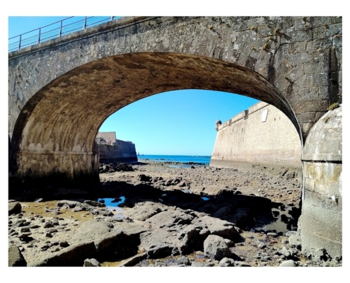 IMG_20250810_113852_1_edit_2463272999165853