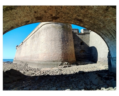 IMG_20250810_113912_edit_2463220648489779