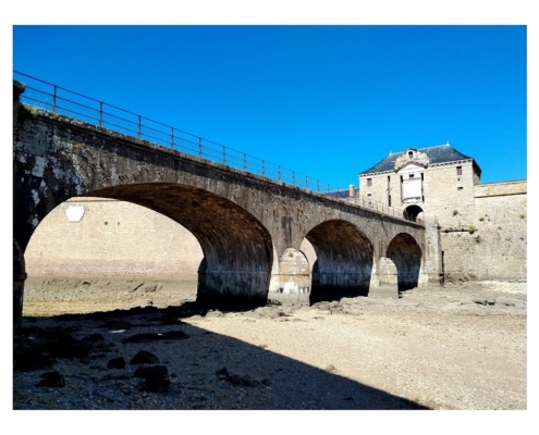 IMG_20250810_114056_1_edit_2463162244954749