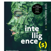 UBS-FDLS2025-AFFICHE-EXE-WEB